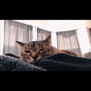 Meet your Posher, Ellie